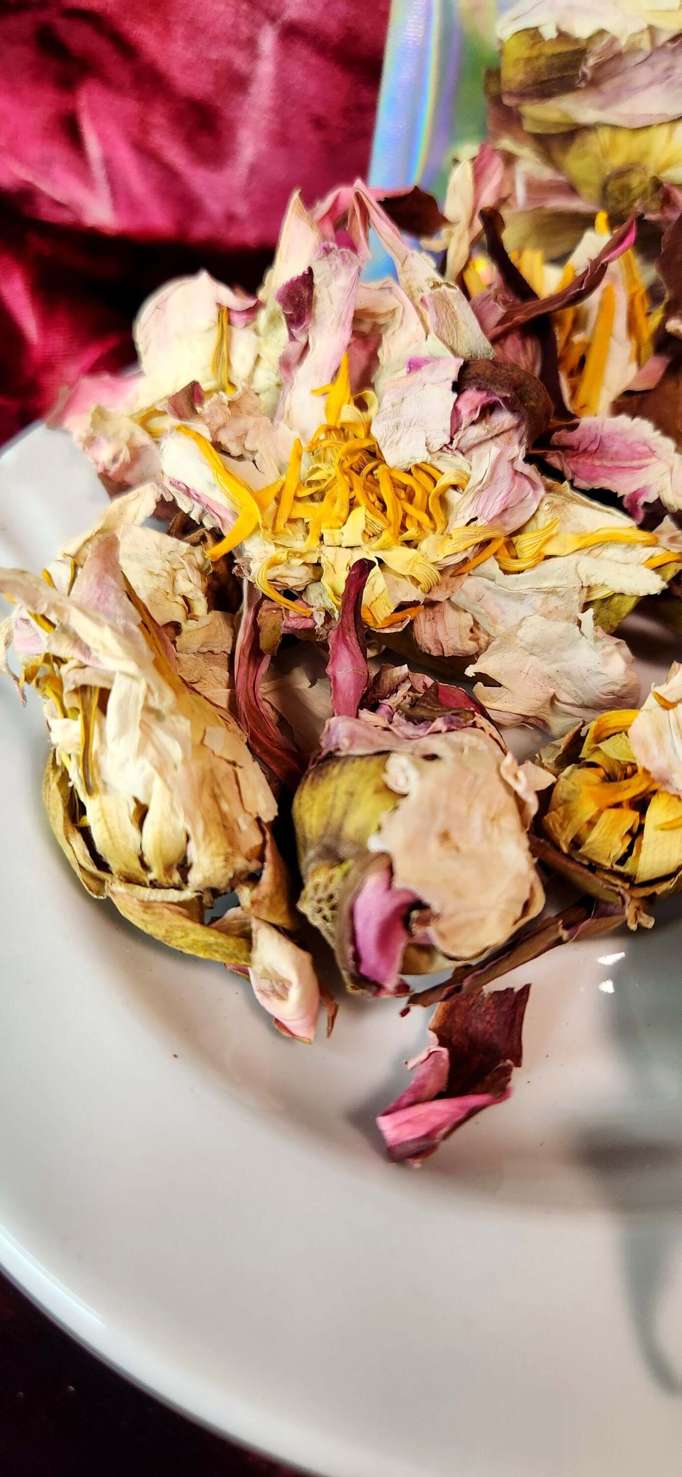 Egyptian White Lotus~ Blooming Flowers~ Sacred Awakening Lucid Dream Tea, Organic, *Limited* - Athena's Herbal Alchemy